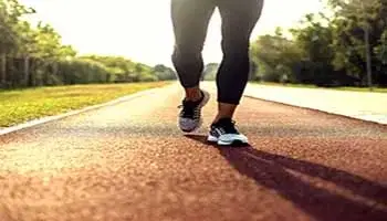 Jogging track surrounded by greenery